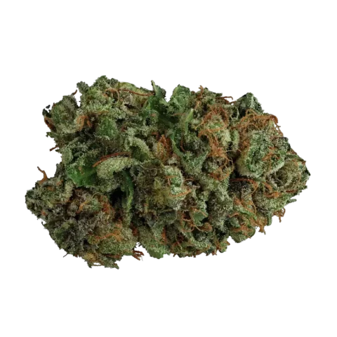 Gorilla Glue CBD Classic A Grade outdoor flower