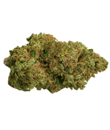 OG Kush CBD Classic A Grade indoor flower
