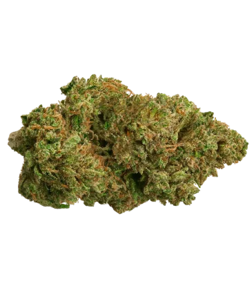 OG Kush CBD Classic A Grade indoor flower