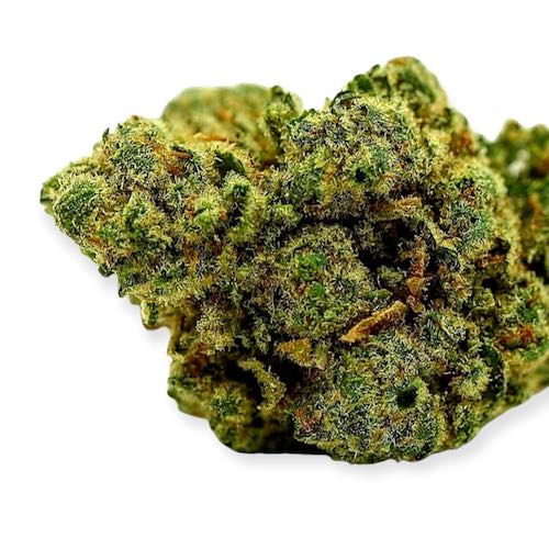 Indoor Strain that rapresent Cbd Logistics Switzerland